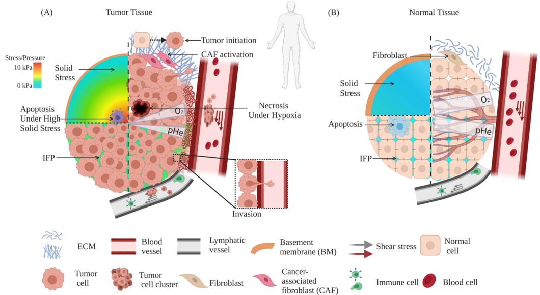 Ying Xin et al. Oncogene. 2023.