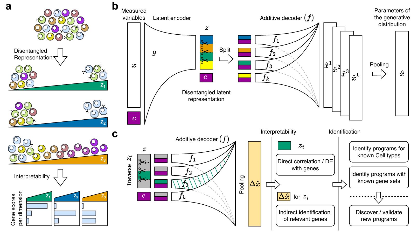 DRVI Structure